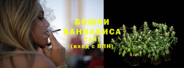 трава Белокуриха